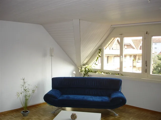 5 1/2-Zi. Attikawohnung mit Dachterrasse