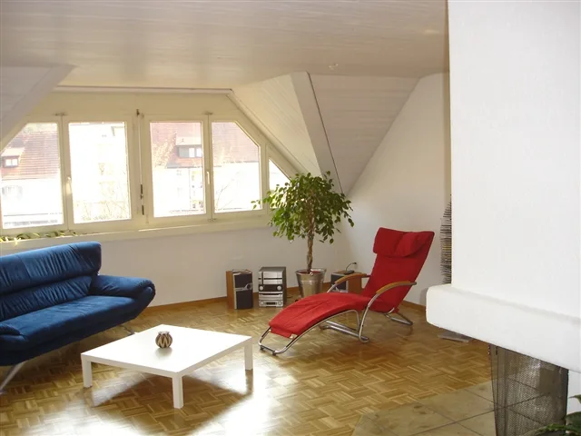 5 1/2-Zi. Attikawohnung mit Dachterrasse