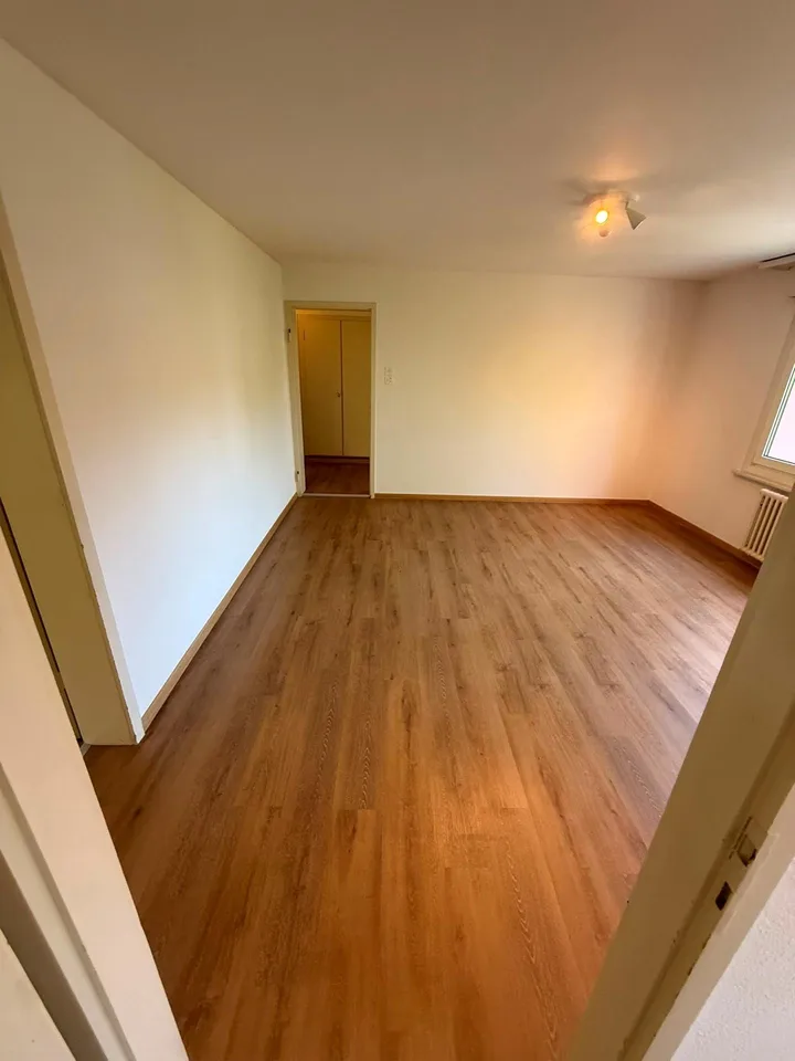 sanft renovierte und schöne 4.5-Zimmer-Wohnung zu mieten