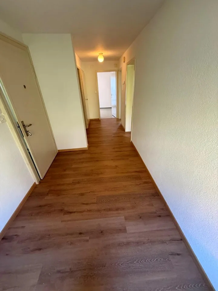 sanft renovierte und schöne 4.5-Zimmer-Wohnung zu mieten