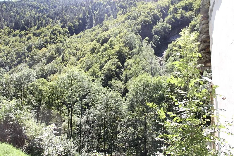 Rustico zum Ausbauen mit viel Umschwung