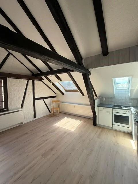 Frisch renovierte, charmante 2.5-Zimmer-Dachwohnung