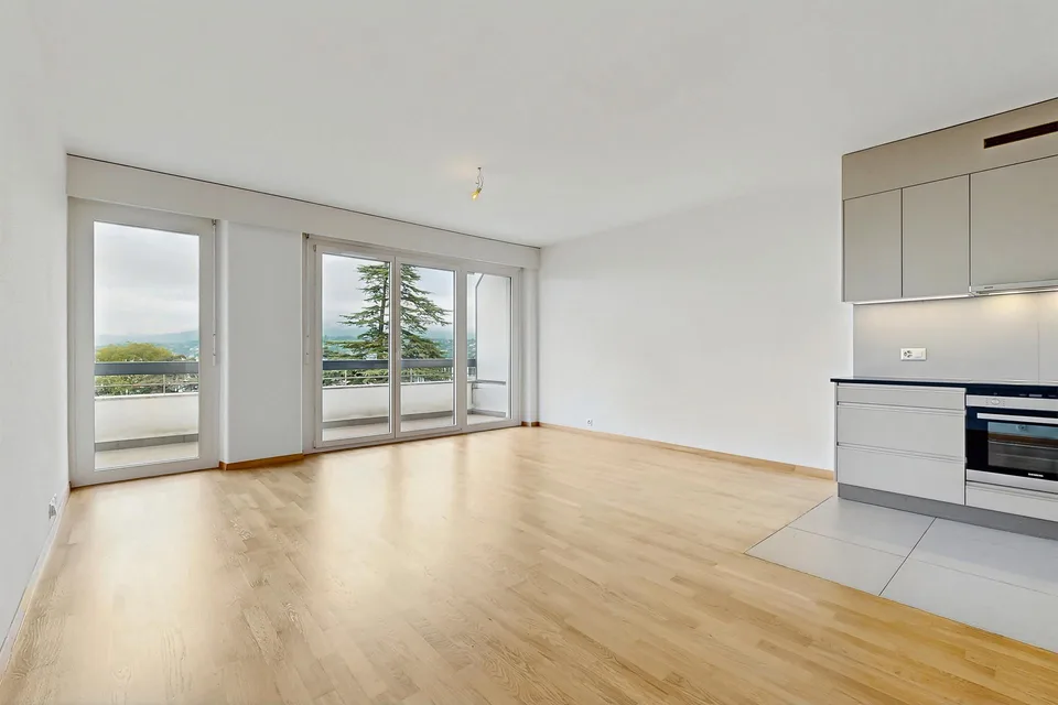 Vivre dans un logement moderne à deux pas du lac Léman !