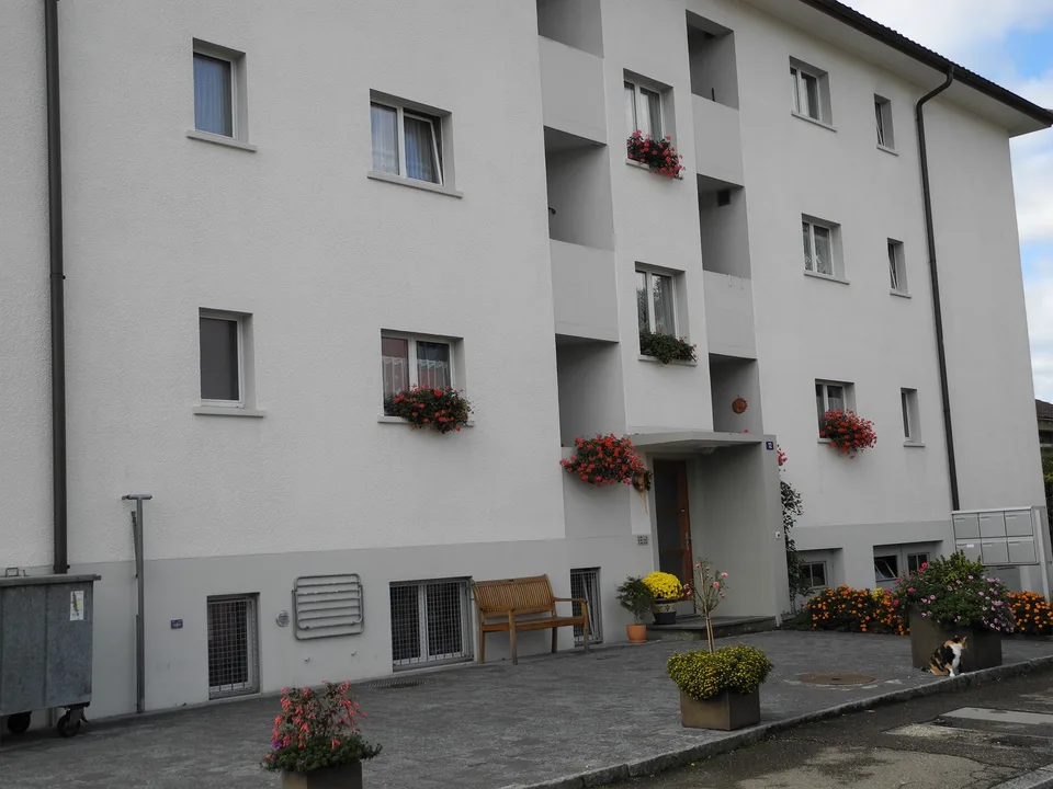 5 Zimmer Wohnung