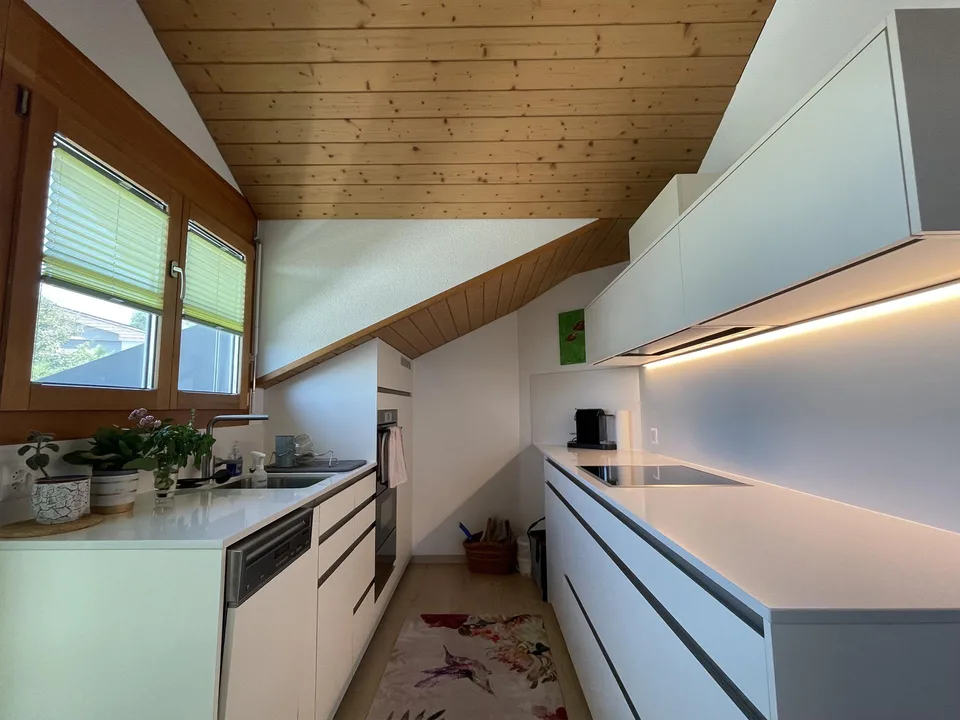 Balkon mit Sempacherseeblick, frisch renoviert und eigener Waschturm