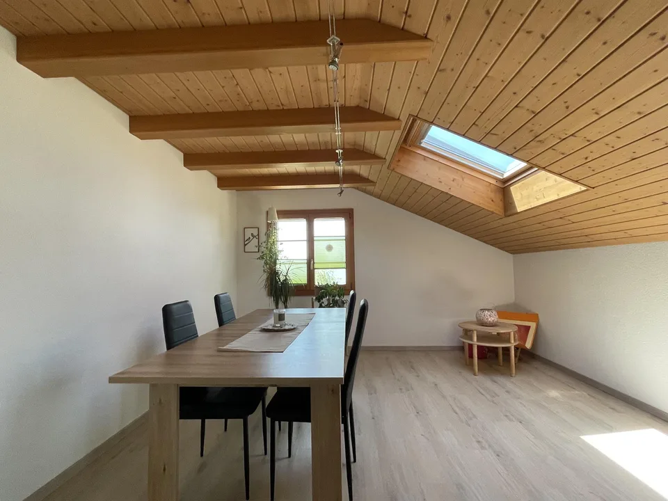 Balkon mit Sempacherseeblick, frisch renoviert und eigener Waschturm