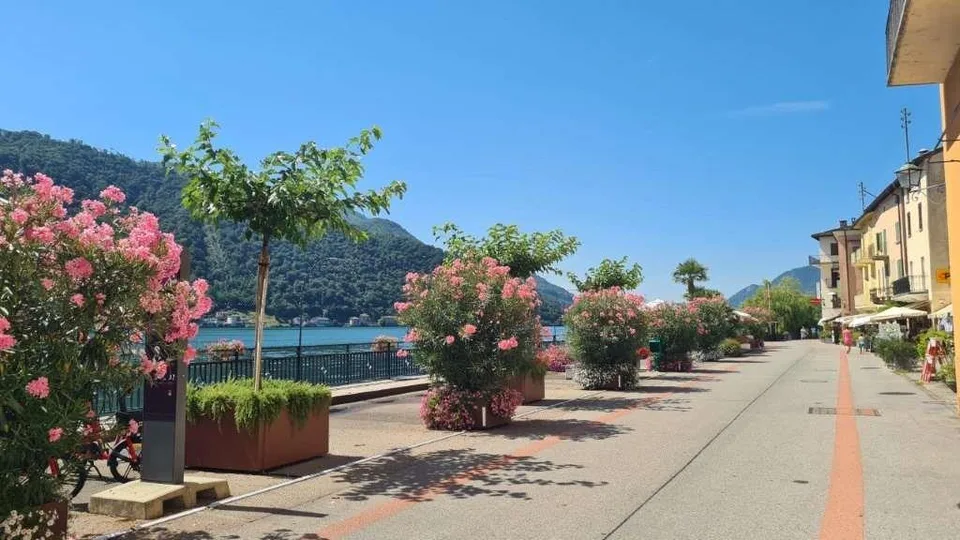 MORCOTE: GRAZIOSO 2.5 LOC. IN ZONA LUNGOLAGO