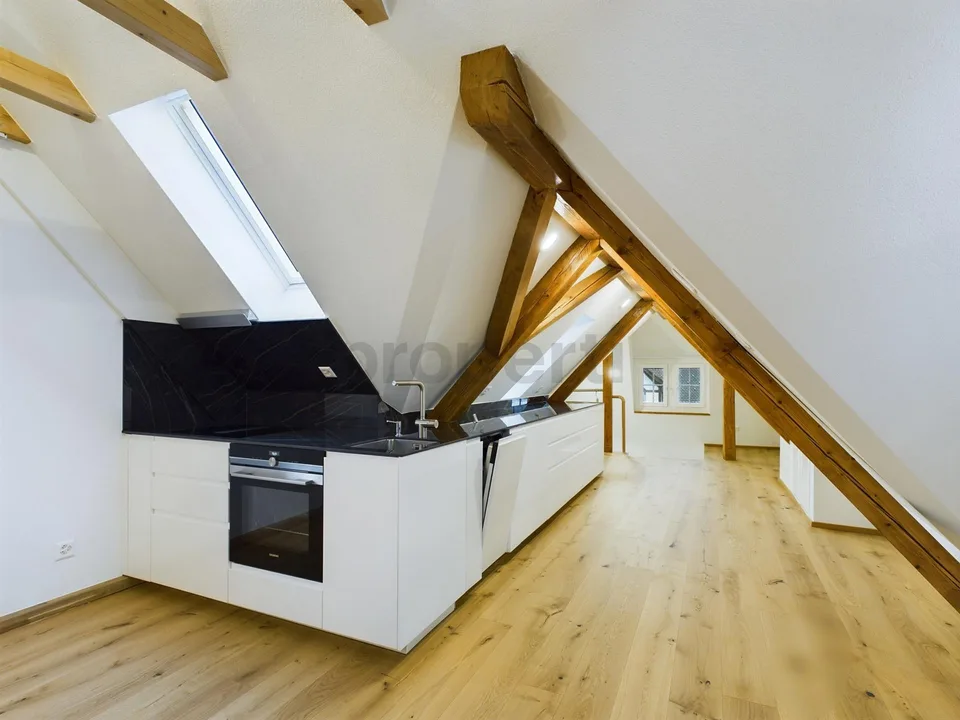 Nuovo appartamento elegante di 2 camere ristrutturato con stanza in cantina, Illnau-Effretikon