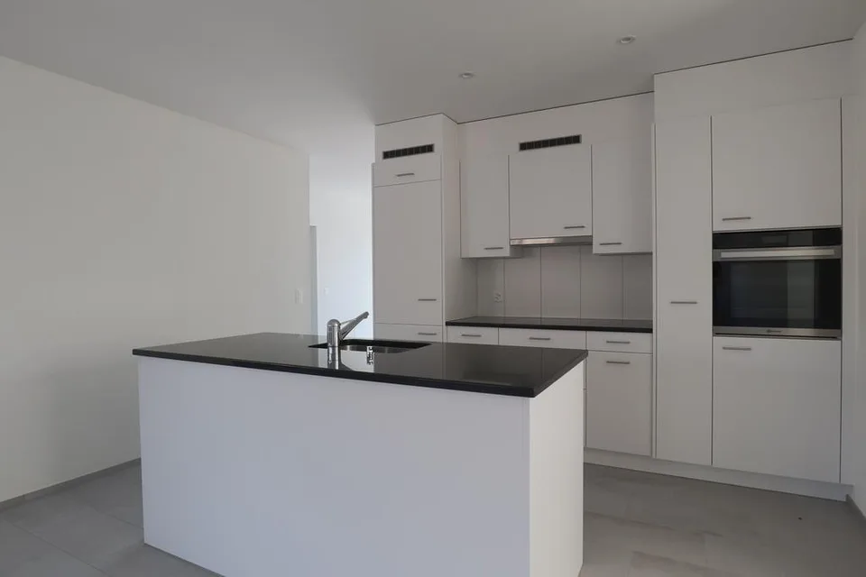 Moderne Wohnung in Winterthur-Wülflingen