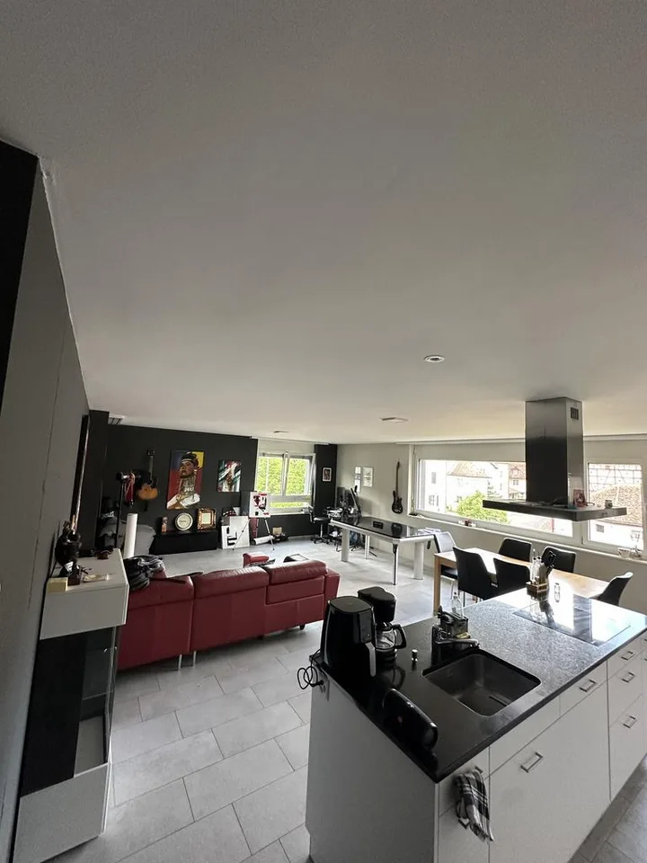 Moderne Wohnung in Winterthur-Wülflingen