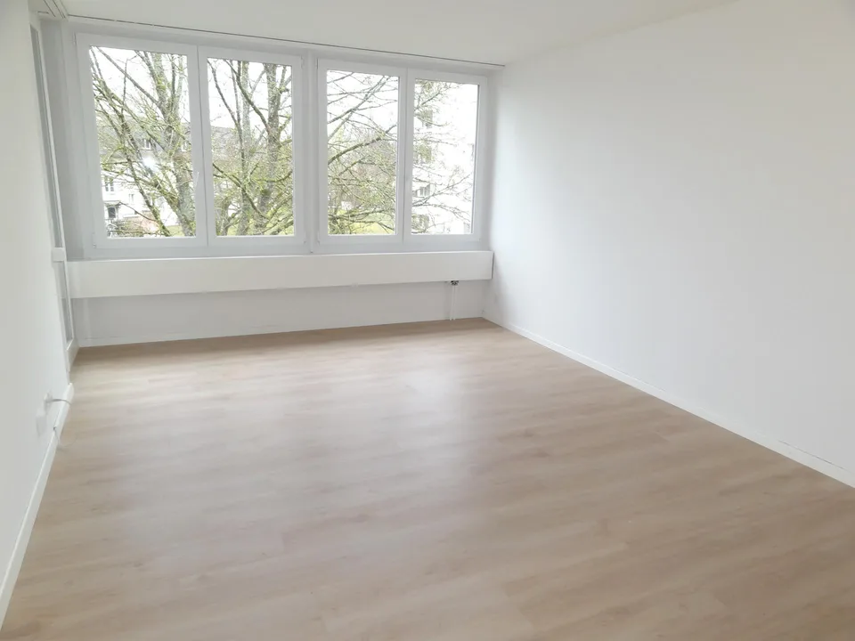 Neu sanierte 2 Zimmerwohnung