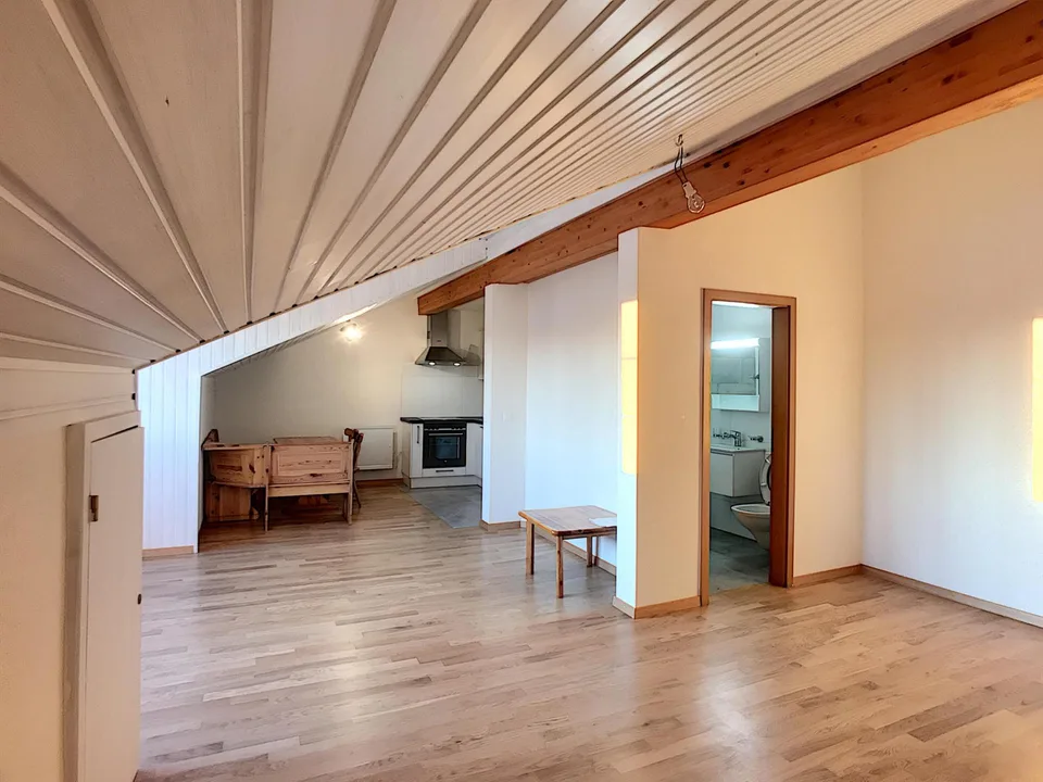 Grand Studio | Pérolles 59