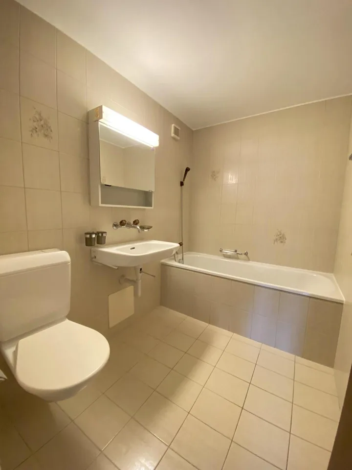 3.5 Zimmerwohnung in Safenwil
