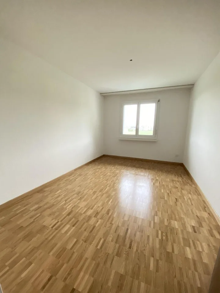 3.5 Zimmerwohnung in Safenwil
