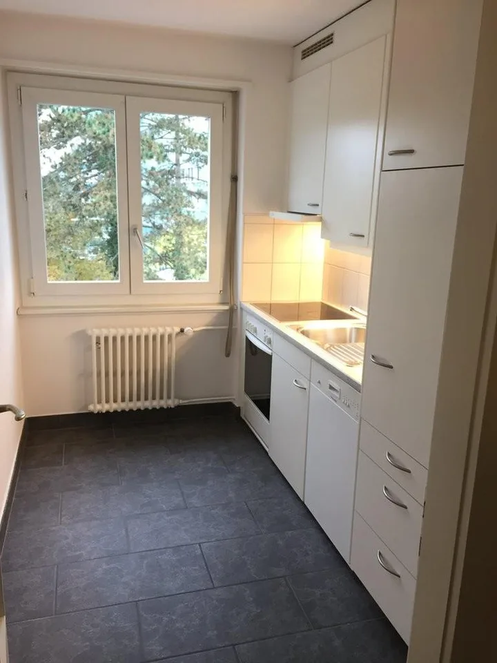 Helle und grosszügige 2 Zimmer-Wohnung