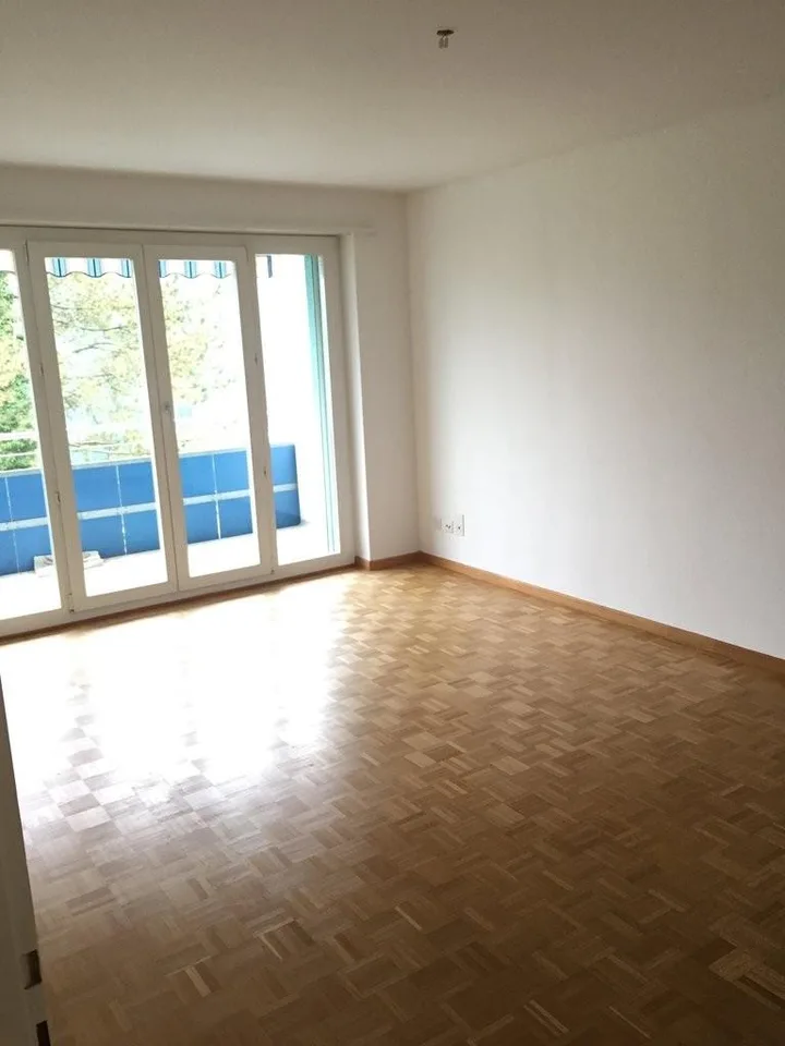 Helle und grosszügige 2 Zimmer-Wohnung