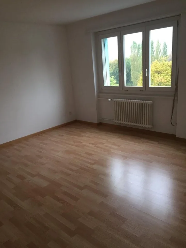 Helle und grosszügige 2 Zimmer-Wohnung