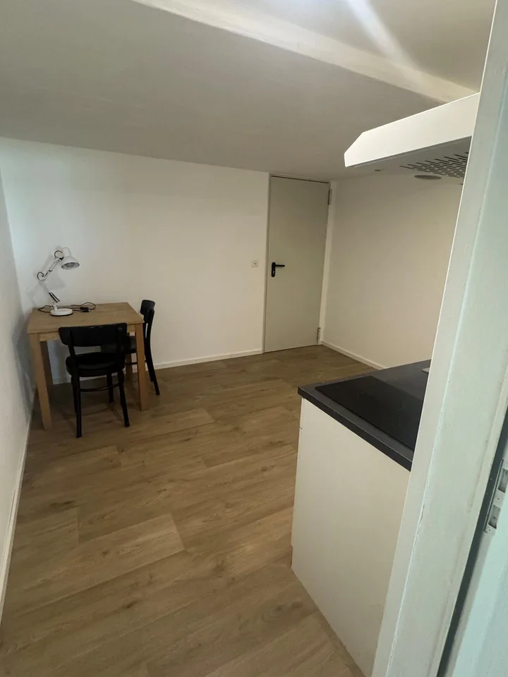 Möblierte 1.5-Zimmer-Wohnung am Rande von Rhäzüns