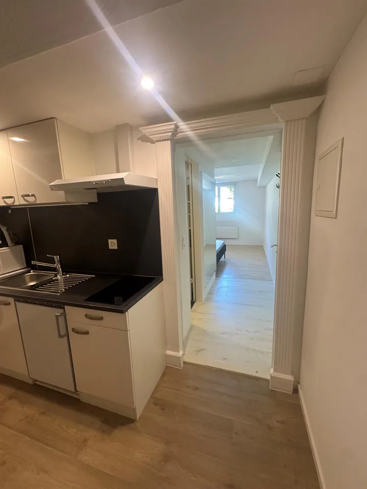 Möblierte 1.5-Zimmer-Wohnung am Rande von Rhäzüns