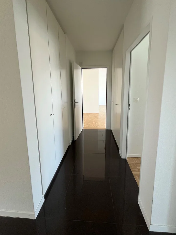 Wohnen mit Stil - grosszügige Attikawohnung im Geissmattquartier