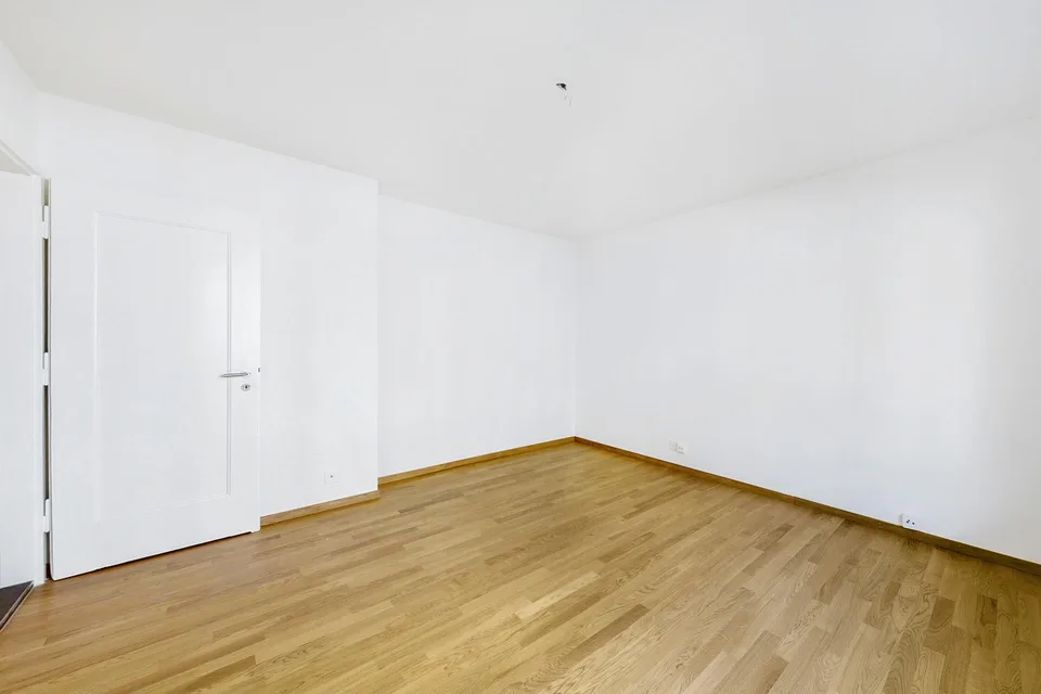 Newly renovated apartment