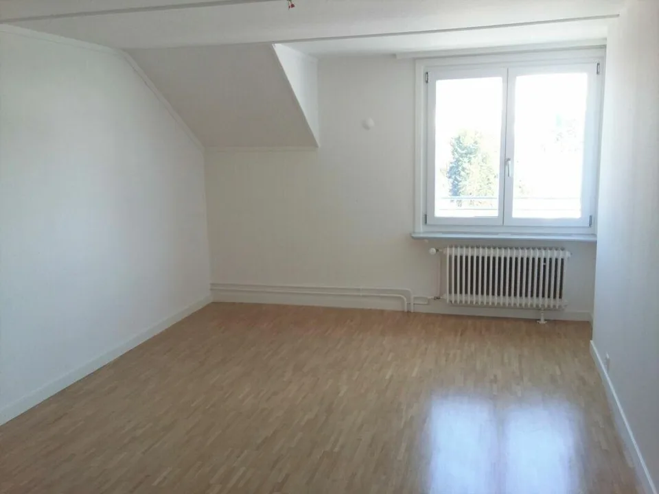 Renovierte Dachwohnung mit grossem Balkon