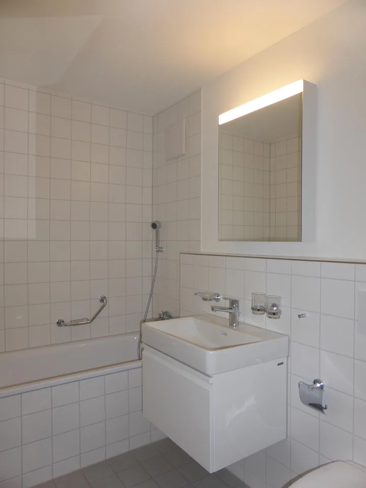 Grosszügige Wohnung an ruhiger Lage im Schöngrund - Olten