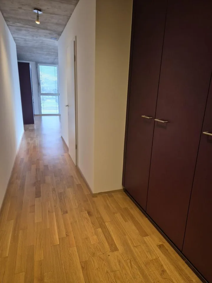 Lumineux logement dans le quartier de Vissigen