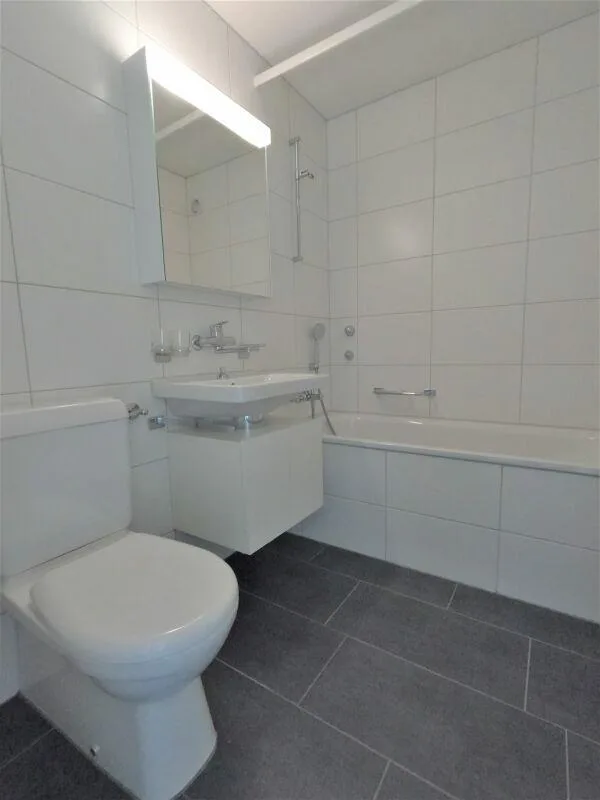 NEU! - Familienwohnung nahe Zentrum, mit Balkon, frisch gestrichen,...