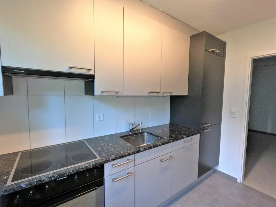 NEU! - Familienwohnung nahe Zentrum, mit Balkon, frisch gestrichen,...