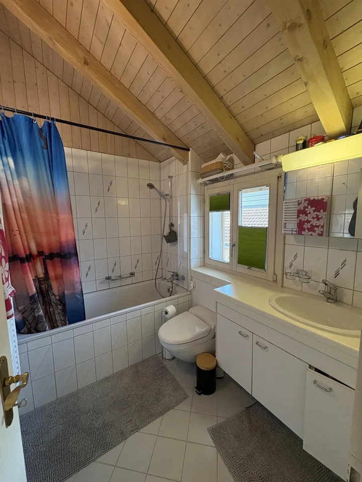 gemütliche 3.5 Zimmer im Dachgeschoss