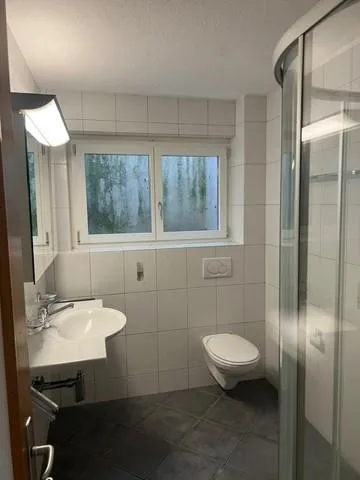 EFH in Horw / Temporäre Vermietung für  1 Jahr