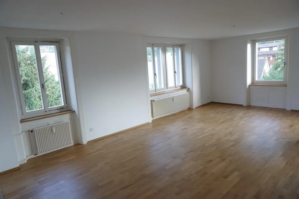 Grosse Dachwohnung an zentraler Lage