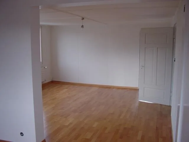 zentrumsnahe, gemütliche 3½ Zimmer-Dachwohnung...