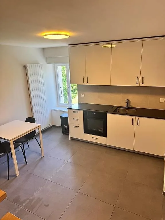 Vésenaz | Charmant Duplex Meublé - Calme & Proche de Genève