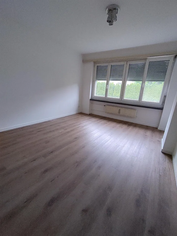 gemütliche Wohnung im Zentrum
