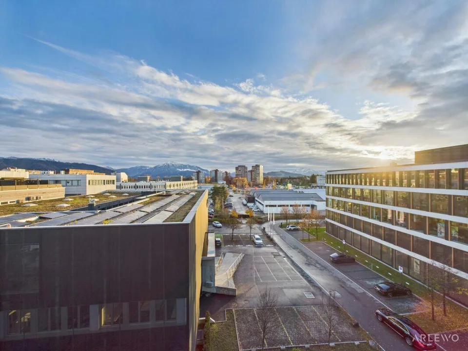 Grosszügige Büroflächen mit exklusiver Dachterrasse