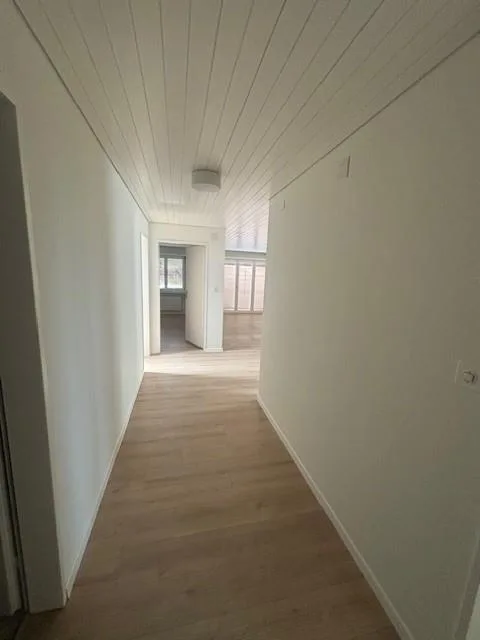 grosszügige und helle Wohnung in ruhiger Wohngegend