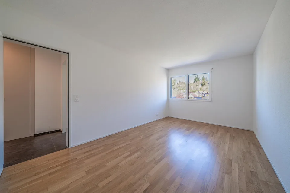 Traumhafte 3.5-Zimmer-Attikawohnung in Altbüron