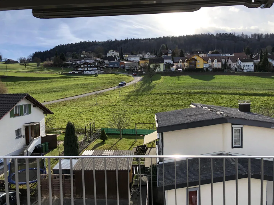 Ruhige 3 1/2-Dachwohnung, Sicht ins Grüne