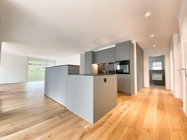 Moderne 3½-Zimmer-Attika-Wohnung