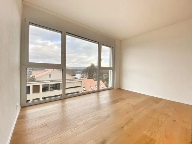 Moderne 3½-Zimmer-Attika-Wohnung