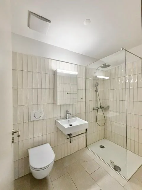 Grosse, helle und sehr moderne Wohnung mit Top Aussicht über Reiden