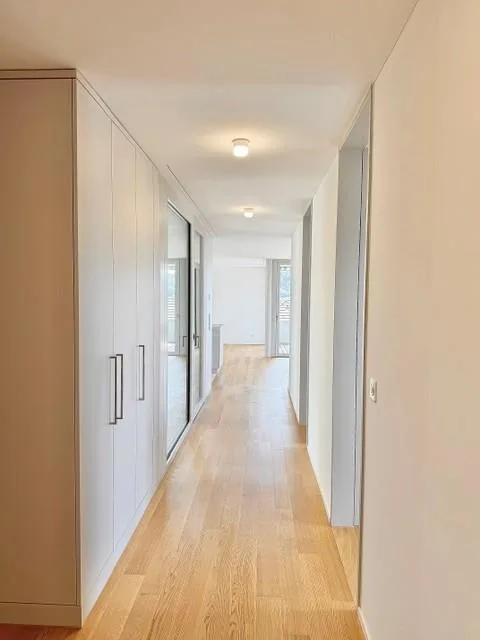 Grosse, helle und sehr moderne Wohnung mit Top Aussicht über Reiden