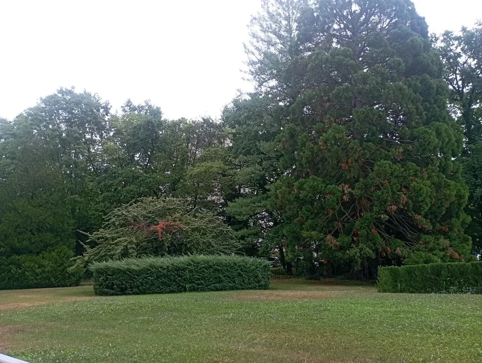 Chêne-Bougeries - Contesto residenziale e verde alle porte di Ginevra