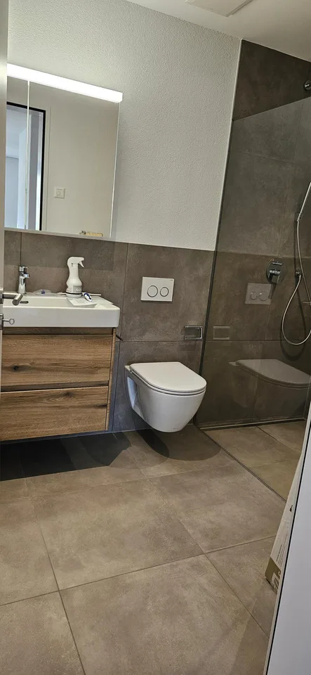 Neubau - 3 ½ Zimmer-Wohnung
