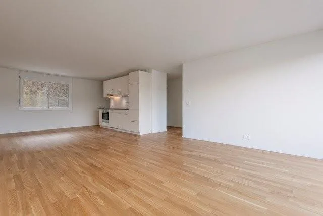 Appartement en attique de rêve avec deux terrasses sur le toit