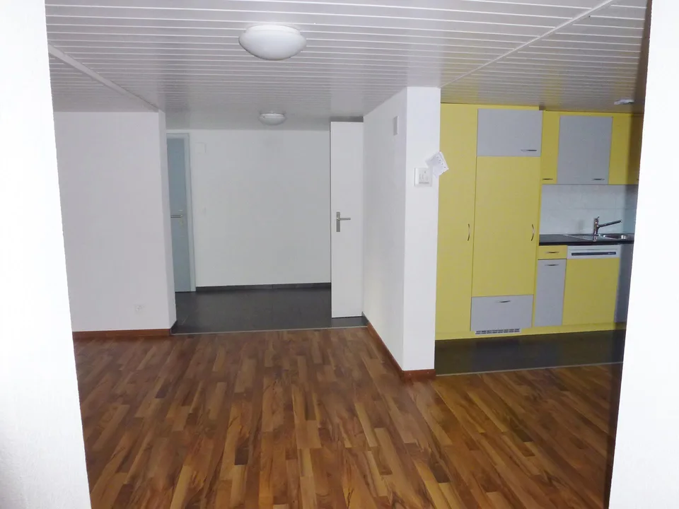 4.5-Zimmer-Wohnung mit grosser Terrasse und fantastischer Aussicht
