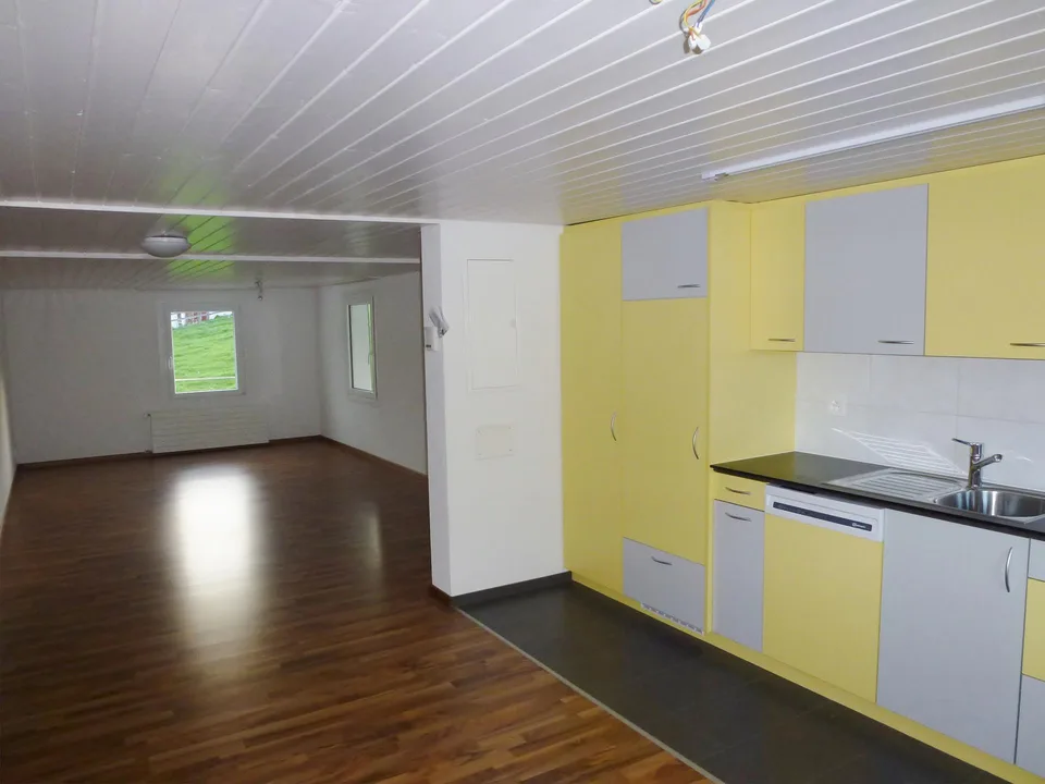 4.5-Zimmer-Wohnung mit grosser Terrasse und fantastischer Aussicht