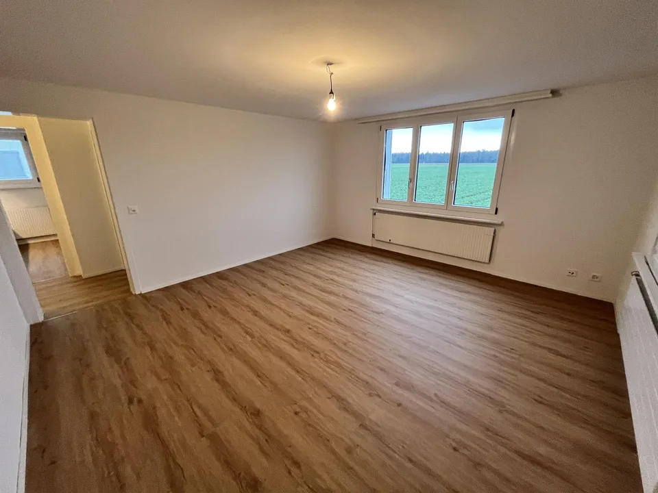 Sanierte 2-Zimmerwohnung im Erdgeschoss